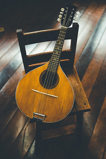 Mandola music, Mandolin, Musical instrument HD phone wallpaper