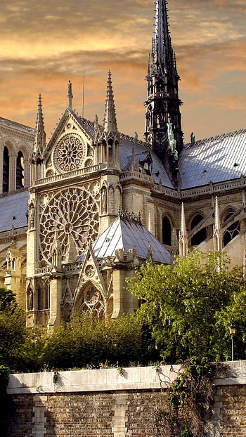 Notre-Dame Cathedral, Travels, , Mesmerizing beauty HD phone wallpaper
