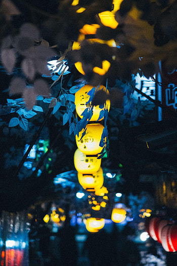 Shine, Light, Miscellanea, Miscellaneous, Branches, Glow, Decoration, Chinese Lanterns HD phone wallpaper
