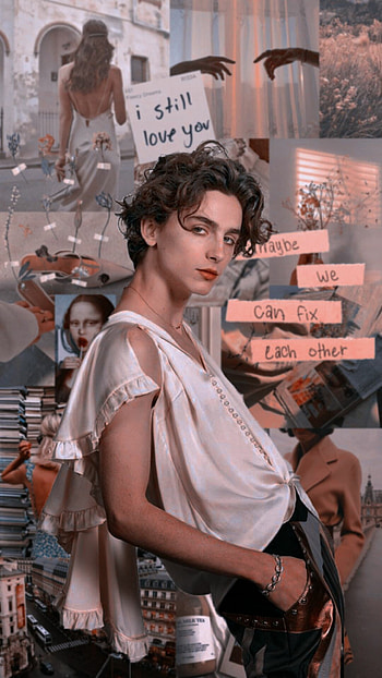 Timothee Chalamet, Best , quality, Captivating actor HD phone wallpaper