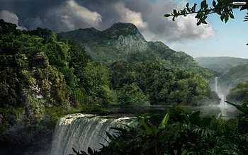 Jungle, Beautiful Jungle HD wallpaper