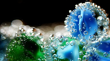 Clear Crystal Water Drops, drop, flower, transparent, drops, , clear, water HD wallpaper