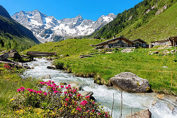 Mountainscape, stream, mountain, river, creek, brook, slope, grass, peaceful, houses, summer, wildflowers, huts, view HD wallpaper