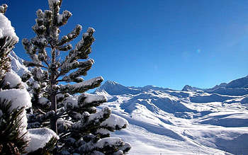 Landscape, Winter, Mountains, Pine HD wallpaper