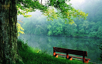 SOOTHING PEACE OF MIND NATURE : 2015, Mind Relaxing HD wallpaper