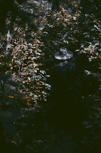 Leaves, Miscellanea, Miscellaneous, Human, Person, Shadows, Hat HD phone wallpaper