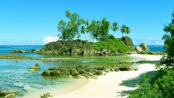 Exotic Beach, palms, nature, exotic, beach HD wallpaper