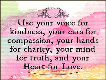 To live by, wisdom, words, life style, healthy living HD wallpaper