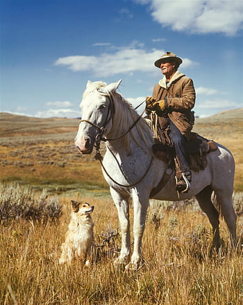 A cowboy rides a white horse with a loyal dog companion in a vast grassland. HD phone wallpaper