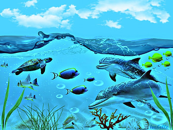 Sea Life , Corals, Water, Sea Life, Fantasy, Ocean, Dolphins, Blue, Clouds, Fishes, Sky HD wallpaper