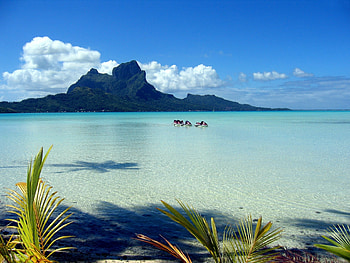Nature, Mountains, Motorcycles, Palm, Branches, Branch, Bay, Lagoon, Blue Water HD wallpaper