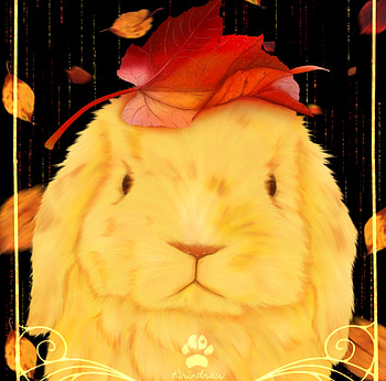 Autumn bunny, art, fall, kirinart, orange, bunny, kirin, fantasy, yellow, red, autumn, leaf, luminos, toamna, rabbit HD wallpaper