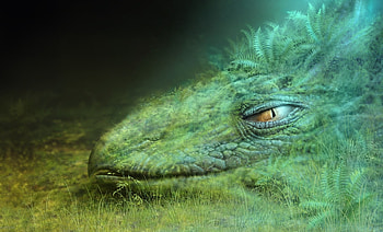 Fantasy, Dragon, Disguise, Camouflage, Head, Eye HD wallpaper