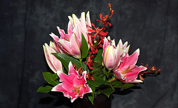 Flowers, Background, Leaves, Alstroemeria, Bouquet, Orchids HD wallpaper