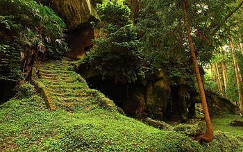 Landscape, Trees HD wallpaper