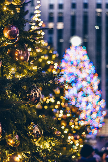 Holidays, New Year, Decorations, Lights, Christmas, Christmas Tree, Garland, Garlands HD phone wallpaper