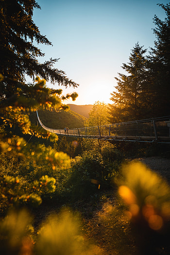 Hanging bridge, architecture, nature HD phone wallpaper