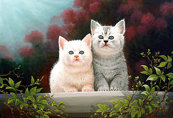 Two little Cats, kitten, cats, animals, little HD wallpaper
