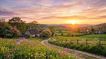 Spring Sunset — Cottage Meadow, Countryside, Wildflower HD wallpaper