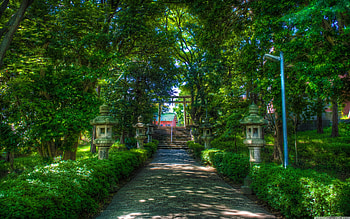 Walking Towards the Shinto Shrine, religious, shrine, shinto, walking HD wallpaper