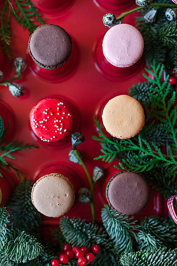 Food, Desert, Cookies, Multicolored, Motley, Branches, Macaroons, Makaroons HD phone wallpaper
