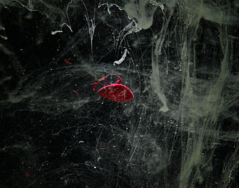 Abstract, Dark, Paint, Scratches HD wallpaper