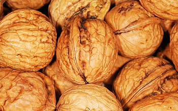 Food, Nuts, Shell, Walnut HD wallpaper