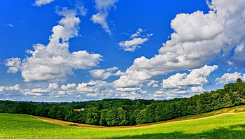 wonderful summer sky, blue, woods, meadow, vegetation, summer, holiday, green, fields, clouds, sky HD wallpaper