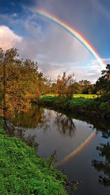 Rainbow, Natural HD phone wallpaper