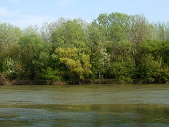 The blond river, nature, rivers HD wallpaper