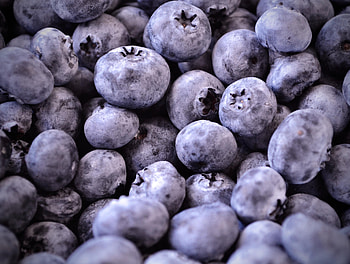 Food, Bilberries, Berries, Macro, Fruit HD wallpaper