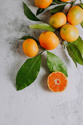 Fruits, Food, Tangerines, Branch, Citrus HD phone wallpaper