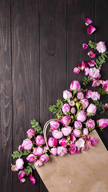 Whatsapp D.p, Pink Flowers, whatsapp dp HD phone wallpaper