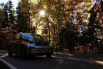 Trees, Autumn, Bmw, Cars, Car, Movement, Traffic, Front View HD wallpaper