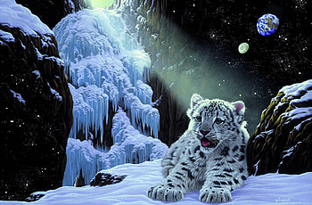 Icy house, night, stars, wild, moon, snow, frost, snowy, frozen, art, house, cat, beautiful, rocks, mountain, fantasy, icy, sky, ice, home HD wallpaper