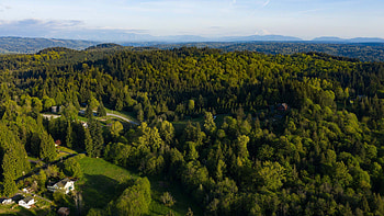 Aerial View Of Forest Trees Bushes Grass Field House Road Mountains Nature HD wallpaper
