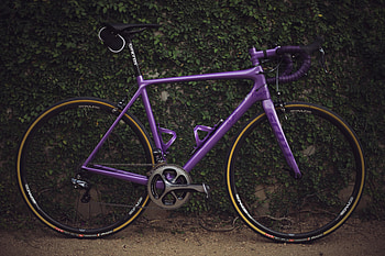 Sports, Bush, Bicycle HD wallpaper