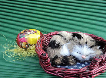 A easter cat, basket, cute, cat, easter, eggs HD wallpaper