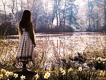 beauty at the lake, autumn, girl, forest, lake, beauty HD wallpaper