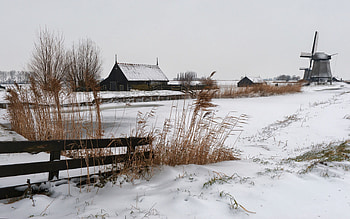 Nature, Snow, House, Village, Ears, Cold, Spikes, Farm, Mill HD wallpaper