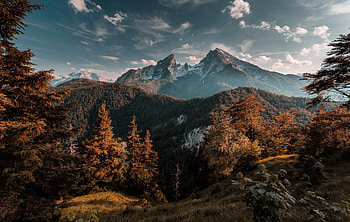 Forest Mountains, forest, mountains, nature, sky HD wallpaper
