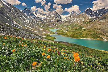 Mountain spring, clouds, flowers, mountains, stream HD wallpaper