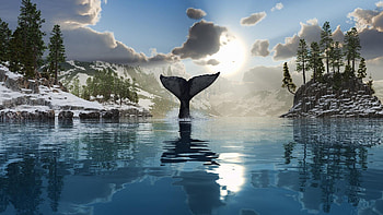 *** Tell me ... GOODBYE ... ***, animal, fish, ocean, animals HD wallpaper