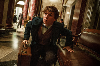Eddie Redmayne In Fantastic Beasts, fantastic-beasts-and-where-to-find-them, 2016-movies, movies, eddie-redmayne HD wallpaper