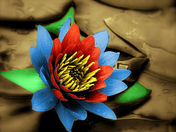 colored sepia lily, colored, abstract, 3d, art, red, sepia, lily HD wallpaper