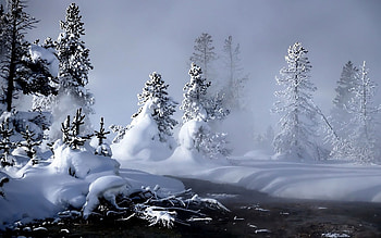 Winter, Nature, Rivers, Snow, Forest, Evaporation HD wallpaper