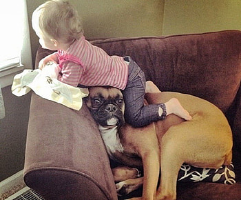 FOOT STOOL DOG, RESTING, KID, LITTLE, DOG HD wallpaper