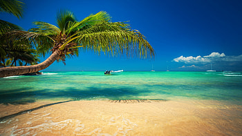 Tropical Beach, sea, sky, sand, palm trees, cloud HD wallpaper