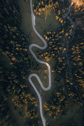 Nature, Trees, View From Above, Road, Hill, Winding, Sinuous HD phone wallpaper