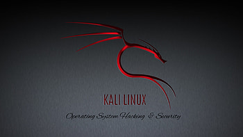 kali linux HD wallpaper